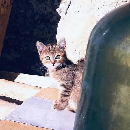 Casa vacanze La Casa Sulla Roccia *
